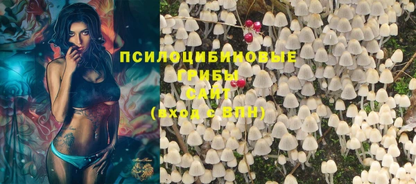 гидра Абдулино
