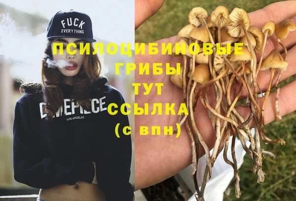 гидра Абдулино