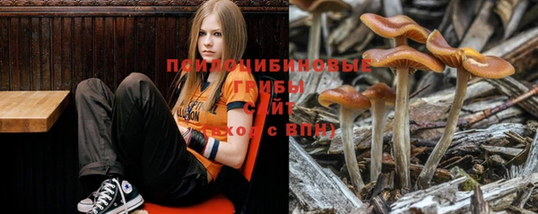 mix Абаза