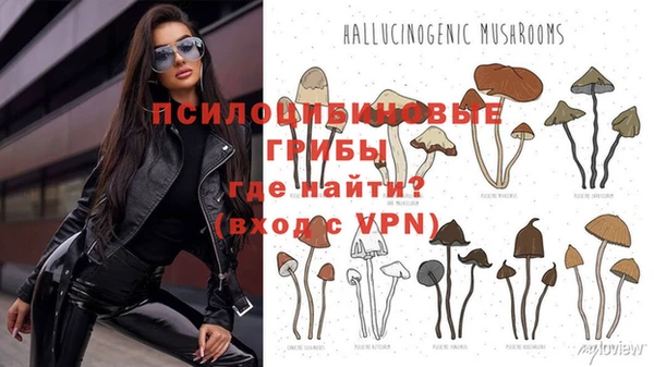 mix Абаза