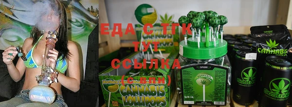 индика Рославль