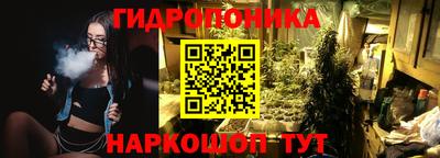 прущие крисы Будённовск