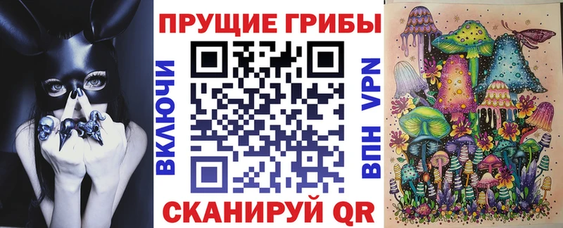 KRAKEN как зайти  Вичуга  Галлюциногенные грибы Cubensis 