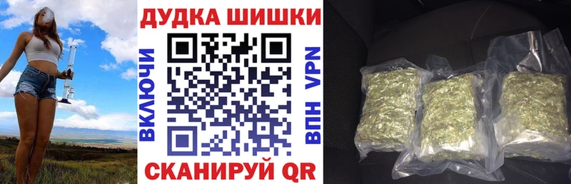 продажа наркотиков  Вичуга  MEGA ONION  Каннабис AK-47 